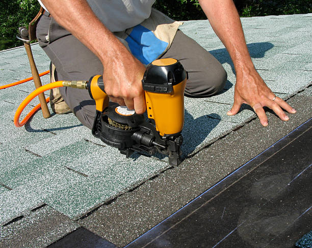 Best Roof Repair Services  in St Paul, MN