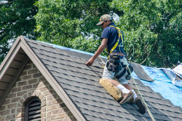 Quick and Trustworthy Emergency Roof Repair Services in St Paul, MN